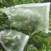 Täcker 50st Garden Plant Netting påsar Vegetabiliska druvor äpplen Fruktskyddsväska mot insektsbekämpning Antibird Mesh täcker väskor