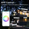 Zemismart WiFi Mattercertifié LED Downlight RGBCW Plafonnier Rond 2,5 3,5 4 pouces Siri Alexa Google Home Smartthings Control