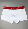 1896811 Designers varumärke Mens Boxer Män underbyxor kort för man underpanties Sexiga underkläder Mens Boxare Bomullshorts Male
