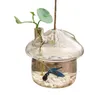 Paddestoelvormige Hangende Glazen Plantenbak Vaas Rumble Aquarium Terrarium Container Huis Tuin Decor 2104096081377