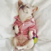 Ceketler Lüks Pet Köpek Pijamaları Yumuşak İpek Fransız Bulldog Pijamalar Pet Ceket Giysileri Küçük Köpekler Shih Tzu Köpek Kedi Giysileri XSXL