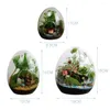 Wazony mche terrarium w kształcie jaja butelki soczyste wazon dekoracja domowego mikro krajobraz