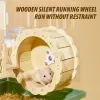 Kooien Hamsterkooi met twee verdiepingen, grote ruimte, speciale acrylkooi voor gouden beer, honingzak, zweefvliegtuig, huisdiernestkooi, dierbenodigdheden