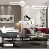 Zemismart WiFi Mattercertifié LED Downlight RGBCW Plafonnier Rond 2,5 3,5 4 pouces Siri Alexa Google Home Smartthings Control