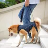 Colliers Ceinture de soutien pour animaux de compagnie Élastique Doux Confortable Harnais d'assistance aux jambes pour animaux de compagnie Sangle de poitrine pour chien de marche assistée réglable pour la récupération