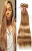 8A Mink Brazillian Straight Hair Bundles Color 27 99J obearbetat mänskligt hårväv malaysiska peruanska indiska jungfruliga hårstrån5026676