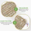 Decor Lizard Hammock Pet Swing Toy Reptile Dog Pad Pets Hanging Snake Sleeping Bed Seaweed Fogger