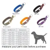 Colliers Truelove collier étrangleur pour chien de compagnie doux fort violet animaux de compagnie chien formation colliers de glissement tour de cou pour petits grands chiens Pitbull carlin bouledogue