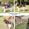 Leashes Dog Leash Reflective Leashes For Sarge Dogs Walking Nylon Soft Handtag Dog Leash Pet Product Outdoor Double Leashes Dogs Training