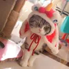 猫のコスチュームペットライオンウェイクアップマント猫服冬​​の暖かさダンスショール