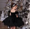 Mädchen Bögen Tau Schulter Party Kleider Kinder Quaste Spitze Tüll Tutu Kleid Ballkleid Kinder Klavier Performance Kostüme Z6920