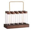 Tools 10Pcs Single Dose Coffee Bean Storage Tubes Coffee Bean Cellar with Wooden Holder Stand Airtight Sealed Glass Canister Jars