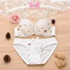 Bras Sets Ladies Fashion Bra Set Big Push Up Underwear 2 Pieces With Underwire Sexy Briefs 5 Colors Top For Young Girls