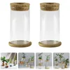 Vasi 2 set vaso idroponico regalo di fidanzamento coltura idroponica in vetro decorazione della cucina contenitore per piante verdi inaugurazione della casa