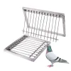 Nids 1 Pc en acier inoxydable pigeonnier piège porte Pigeon porte fil cadre entrée Loft fournitures course oiseau attraper Cage nid porte rideau