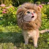 Cat Costumes Lion Mane Funny Pet Cosplay Pergs Zamień cię w mocny strój przyjazny dla skóry na Halloween