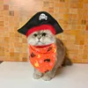 Trajes de gato Halloween gatinho chapéu bandana pet pirata traje kit crânio olho remendo capitão vestir-se