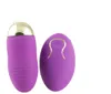 2017 neue Sex Produkte Frauen Drahtlose Fernbedienung Vibrator Bullet Jump Ei Vibrator Erwachsene Sex Spielzeug Vibration Sex Maschine PY494 q4958366