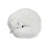 high simulation fox White fox Toy fairy Sleeping fox cute animal for girl girlfriends creative gift desktop car Deco 27x27x12cm DY5783454