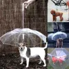 Laux Creative Teddy Poodle Petits chiens Dirigez-vous des parapluies qui marchent sur des chiens voyageant sur des chiens imperméables Poncho Pet Produits