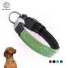 Collari Collare elettronico per cani luminoso a LED Ricarica USB Collare regolabile in pelle per animali domestici Viaggio notturno Anti smarrimento all'aperto per tutti i cani