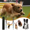 機器犬のトレーニングサークルペット障害物トレーニングジャンプサークルインタラクティブなトレーニングとストレージバッグの屋外ペット用品での運動