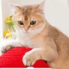 SCRAYERS PET CAT SCRACKING Toy chaton Grinceing Paws Toy Champignon Shape Sisal Scratch Cat Bratch Board Pet Kitten Furniture Furniture