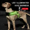 Harnais Harnais pour chien LED lumineux lumineux pour animaux de compagnie, sangle de poitrine, gilet pour grands chiens, sécurité réfléchissante, colliers de marche en plein air pour chiens, accessoires