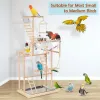 퍼치 Edudif Parrot Playstand Parrot Perch 스탠드 새 놀이터 대형 새 놀이 스탠드 나무 퍼치 체육관 플레이 펜 사다리 (4 층)