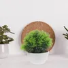 Dekoratif çiçekler sahte saksı bitkileri yapay çiçek taklitinde pot bonsai ev ofis dekor