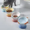 Fournitures bol pour chat mangeoire pour animaux de compagnie plat chien friandises bols assiette alimentation manger céramique plats surélevés chaton décoratif créatif eau surélevée