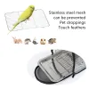 Bags Lightweight Bird Cage Parrot Carrier Bag with Perch for Parakeet Cockatiel Travel Rats Bunny Small Animal Portable Pet Backpack