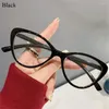 Sonnenbrille Transparent Anti-UV Blaue Strahlen Gläser Retro Runde Großen Rahmen Brillen Computer Brille Frauen