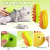 Toilettage Brosse de toilettage pour animaux de compagnie pour chats technologie de vapeur chaude outil de toilettage des cheveux brosse de perte Rechargeable fournitures pour animaux de compagnie accessoires pour chats