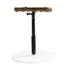 Leveranser t Stand Parrot Training Playstand med Base Bird Perch för Finch Parakeet