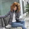 Parkas Women Winter Coat 2023 New Parka Short Fake Päls krage avtagbar hatt Camo Sxxxloutwear Warm Down Cotton Jacket