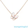 2024 Designer vans Four-leaf Clover Four Leaf Grass Butterfly Necklace White Beige Turquoise Versatile Simple Chain Womens Colorless