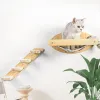 Scratchers Cat Climbing Steps väggmonterad hängmatta och hyllor Skrapa Post Sisal Rope Ladder för liten katt som lerar att sova