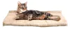 Mats Kitty Shack 2 in 1 Tube Cat Mat and Bed, Pet Accessories Cat tunnel Cat sleeping bag Dog cat Pet nest Pet Supplies & Pet