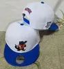 2024 All Team Fan's USA College Baseball Verstelbare South Carolina Gamecocks-hoed op veld Mix Bestelgrootte Gesloten Flat Bill Base Ball Snapback Caps Bone Chapeau A8