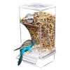 Karmienie Bez Mess Bird Feeders Automatyczne papugi Pijnik Pijusz akrylowy pojemnik na karmę Klatki Klatki do małych i średnich papug