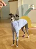 Pullover, lila Baumwolle, italienischer Windhund, Whippet, Bellington, Hundekleidung, reine Baumwolle, atmungsaktiv, weich, Haustier-T-Shirt