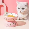 用品飼育猫ボウルフルーツデザインの傾き高ボトムペット給餌プレートアンチスリップセラミックキャットフードボウル猫猫の高架料理