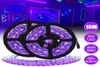 Tiras 2 em 1 DC12V 10M UV Ultravioleta 395405nm LED Strip Black Light 2835 SMD 60ledm Lâmpada de fita impermeável para DJ Fluorescência P6994407