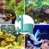 Accessories Air Stone Bubbler Air Stone Disc Release Tool Bubble Oxygen Diffuser Delicate Adjustable Quiet Fish Tank Bubbler For Fish Tank