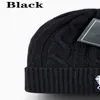 2024 New Designer Polo Beanie Unisex Autumn Winter Beanies Knitted Hat for Men and Women Hats Classical Sports Skull Caps Ladies