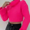 Women's Sweaters Short Turtleneck Knited Sweater Slim Warm Solid Women Crop Pullovers 2024 Spring Casual Ribbed Female