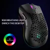 마우스 1pcs BM600 무선 마우스 경량 인체 공학적 중공 구멍 충전식 화려한 RGB Luminous Office Game Esports Mouse