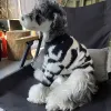 Maglioni Zebra Stripes Maglione Cani Abbigliamento Pet Addensare Vestiti per cani Costume Bulldog francese Autunno Inverno Bianco Nero Collare per ragazzo Perro