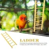 Outros suprimentos de pássaros Hamster Escada de escalada Guiné Porco Brinquedos Step Budgie Treinamento de madeira Plástico